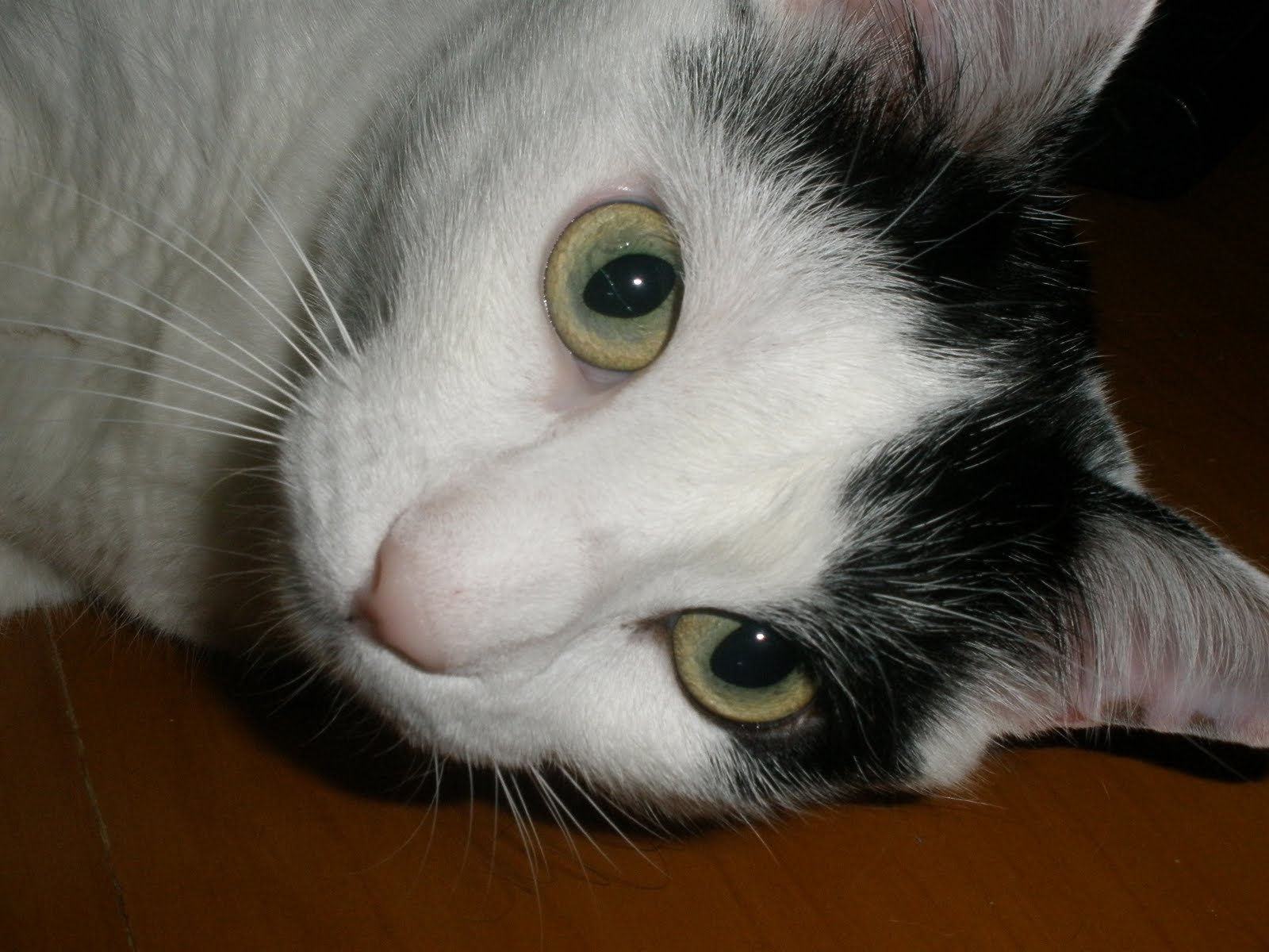 [P9200862.JPG]