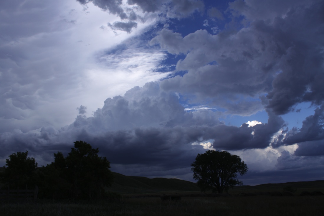 Notes From The American Outback A Wild Night