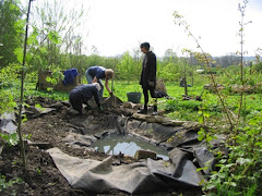 West Bowling Community Orchard