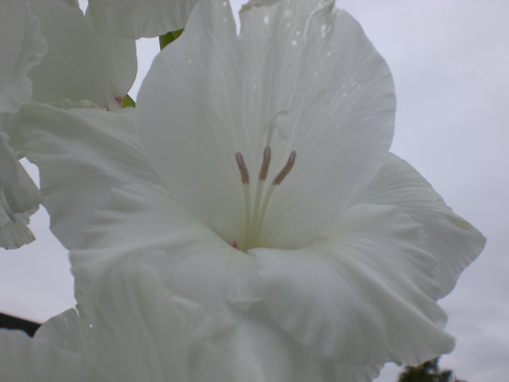 [komprimert+CIMG0911.JPG]