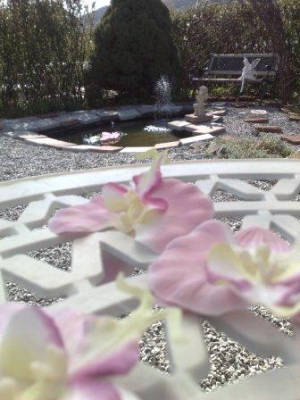 [komprimert+01052009885.jpg]