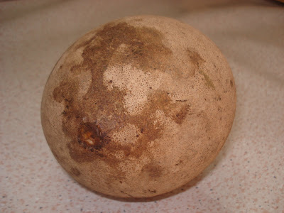 Bambangan Fruit