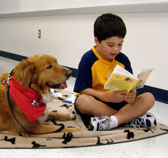 reading to dogs these libraries are going to the dogs book patrol a for book culture reading to dogs these libraries are going to the dogs book patrol a for book culture