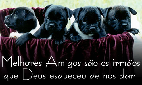 [!cid_00ef01c7ca1b$3aa973e0$01fea8c0@micro.jpg]