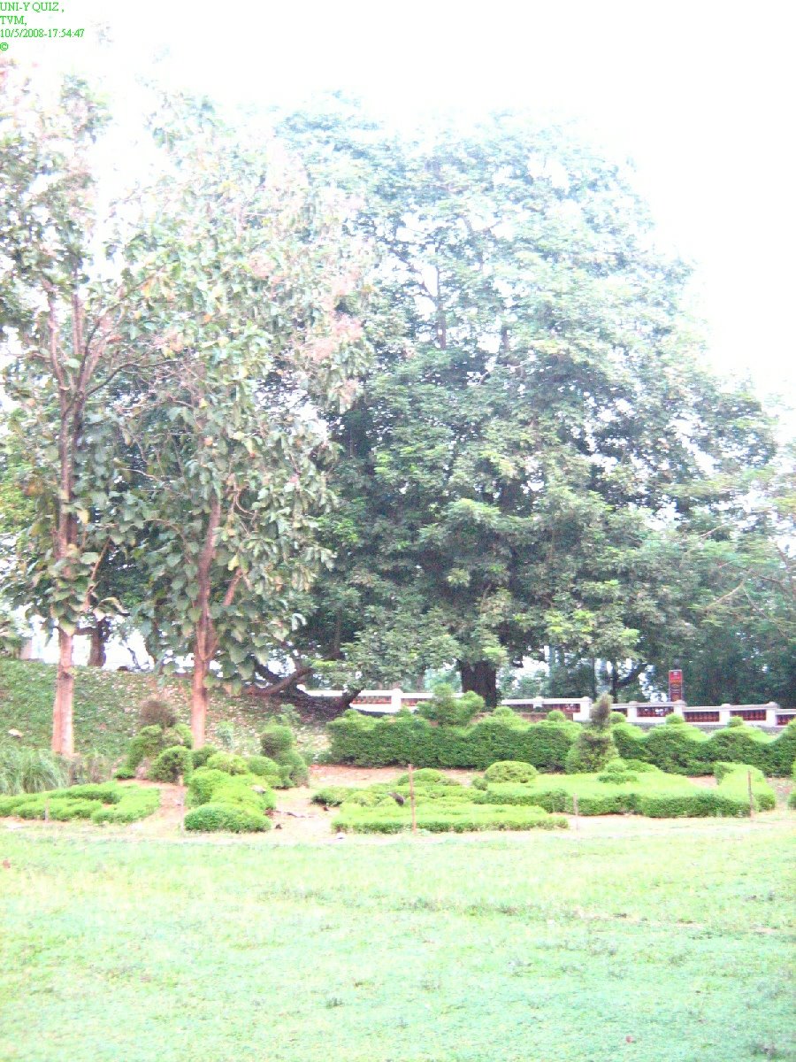 [IMG_1452.JPG]
