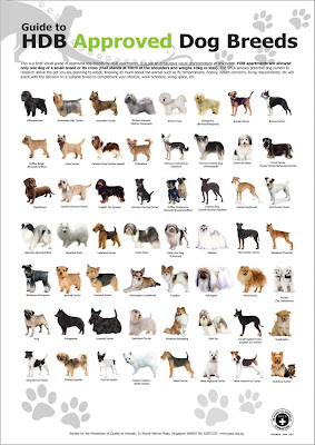 Dog+breeds+poster+uk