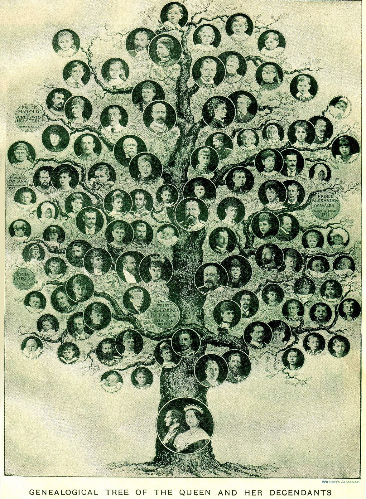 [family_tree.jpg]