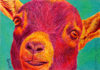 goat art by Ann Ranlett