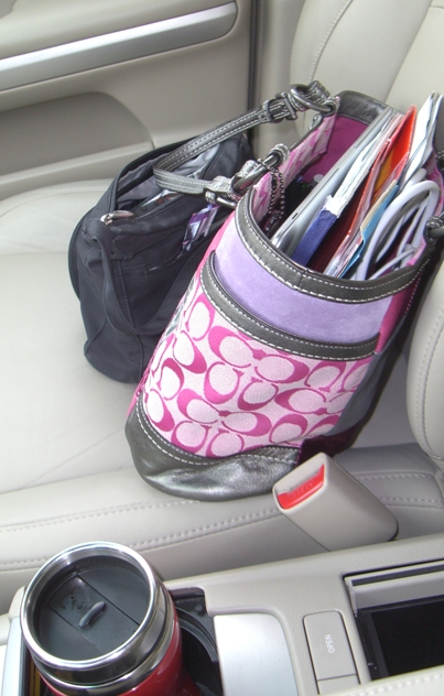 [potential fly swatter.jpg]