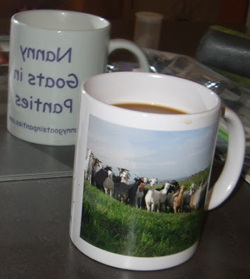 NGIP merch - coffee mug
