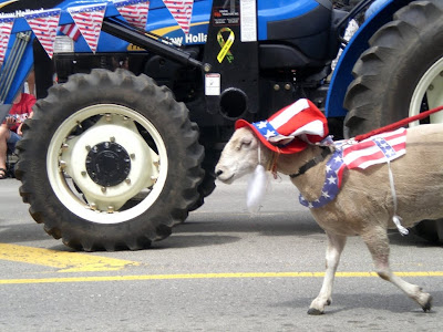 Uncle Sam goat in July 4th parade