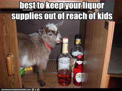 goat kid inside liquor cabinet