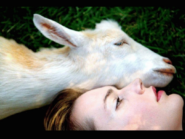 [goat and woman.jpg]