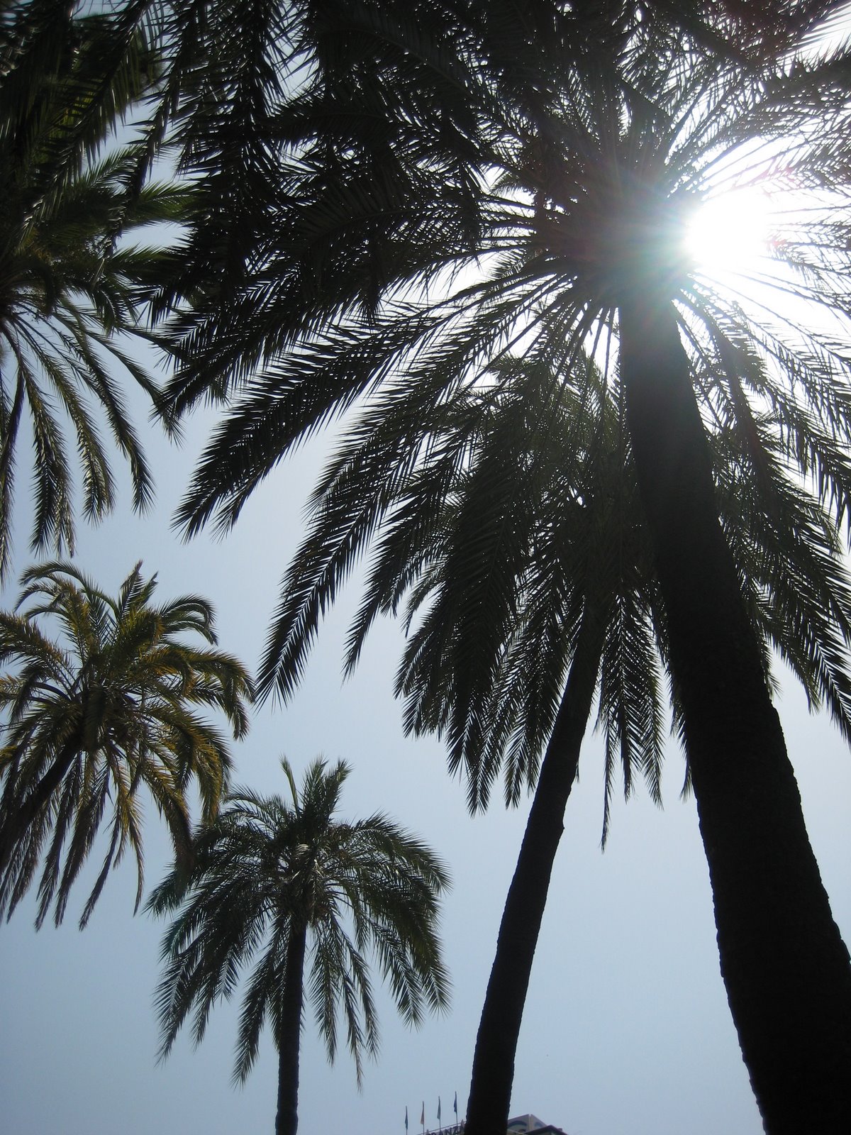 [IMG_2547.JPG]