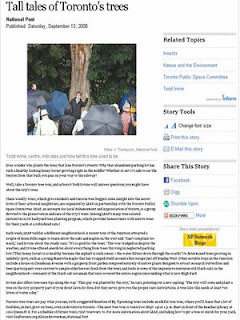 Screenshot: National Post, Tall tales of Toronto's trees Screenshot: National Post, Tall tales of Toronto's trees