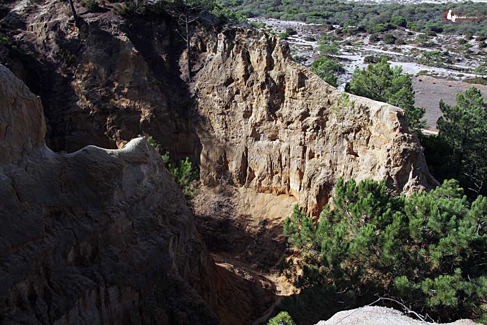 [IMG_5342.jpg]