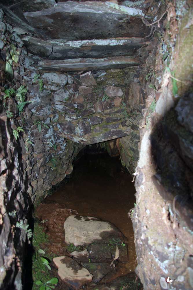 [Ferranha-3.jpg]