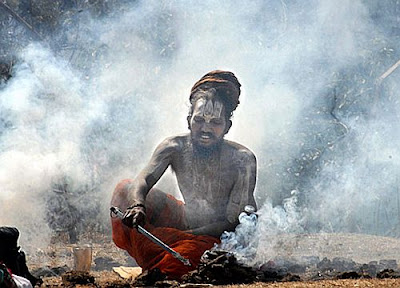 Shivratri Sadhus