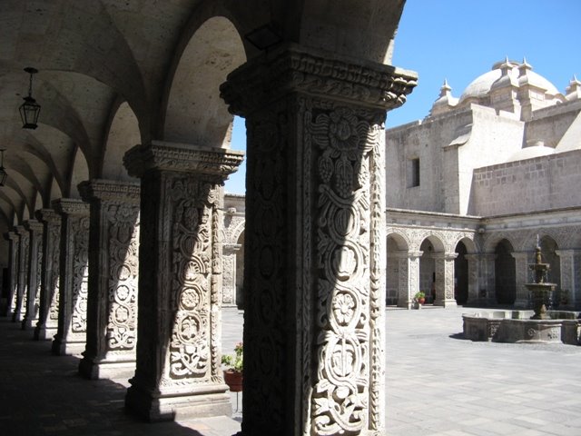 [IMG_3514.JPG]