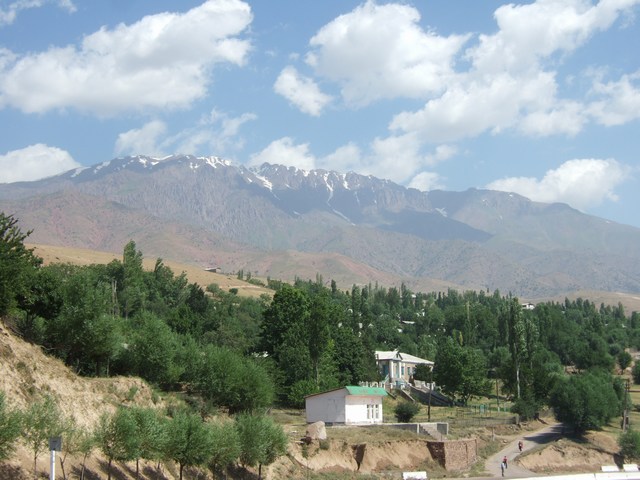 [mini-DSCF0001.JPG]