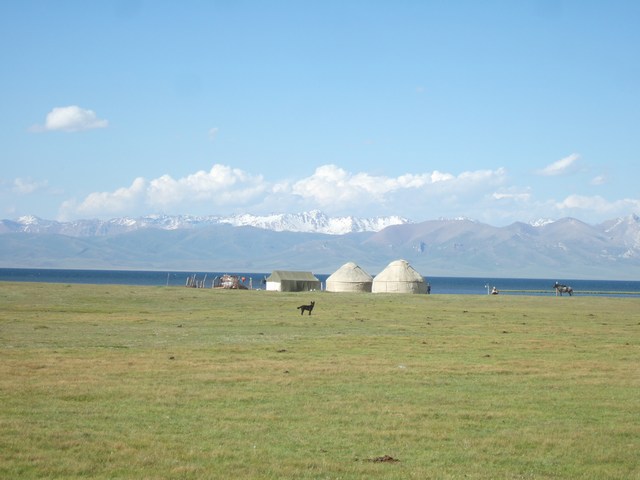 [mini-DSCF0108.JPG]