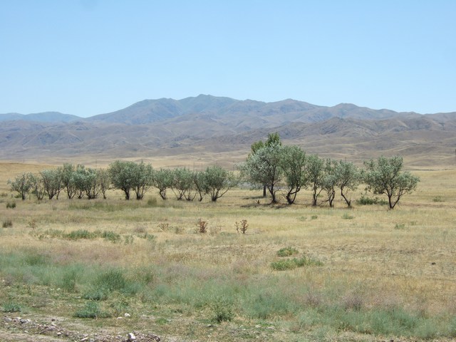 [mini-DSCF0164.JPG]
