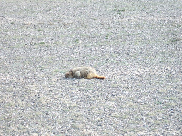 [mini-DSCF0383.JPG]