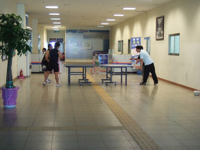 [mini-DSCF0919.JPG]