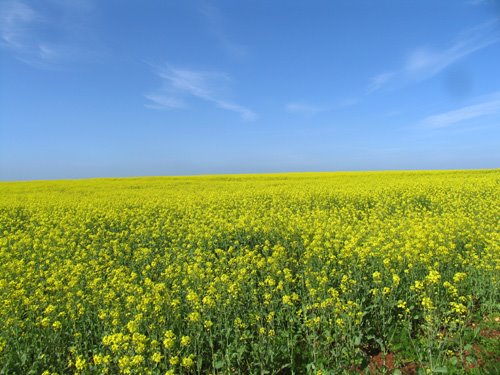 [Primavera.jpg]