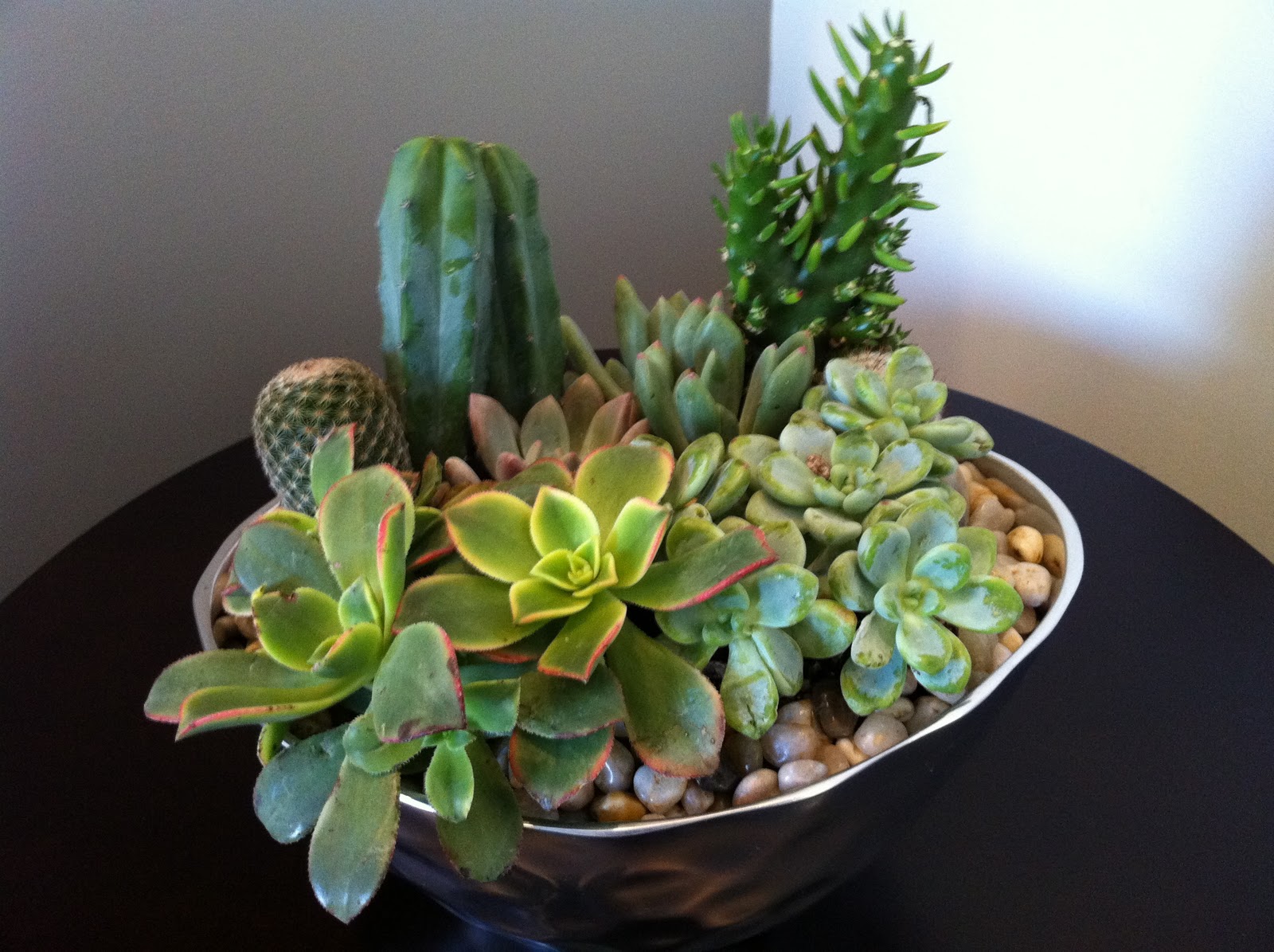 design dump diy succulent arrangement