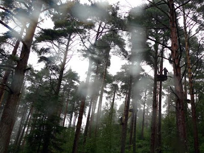 Go Ape, Haldon Forest Park