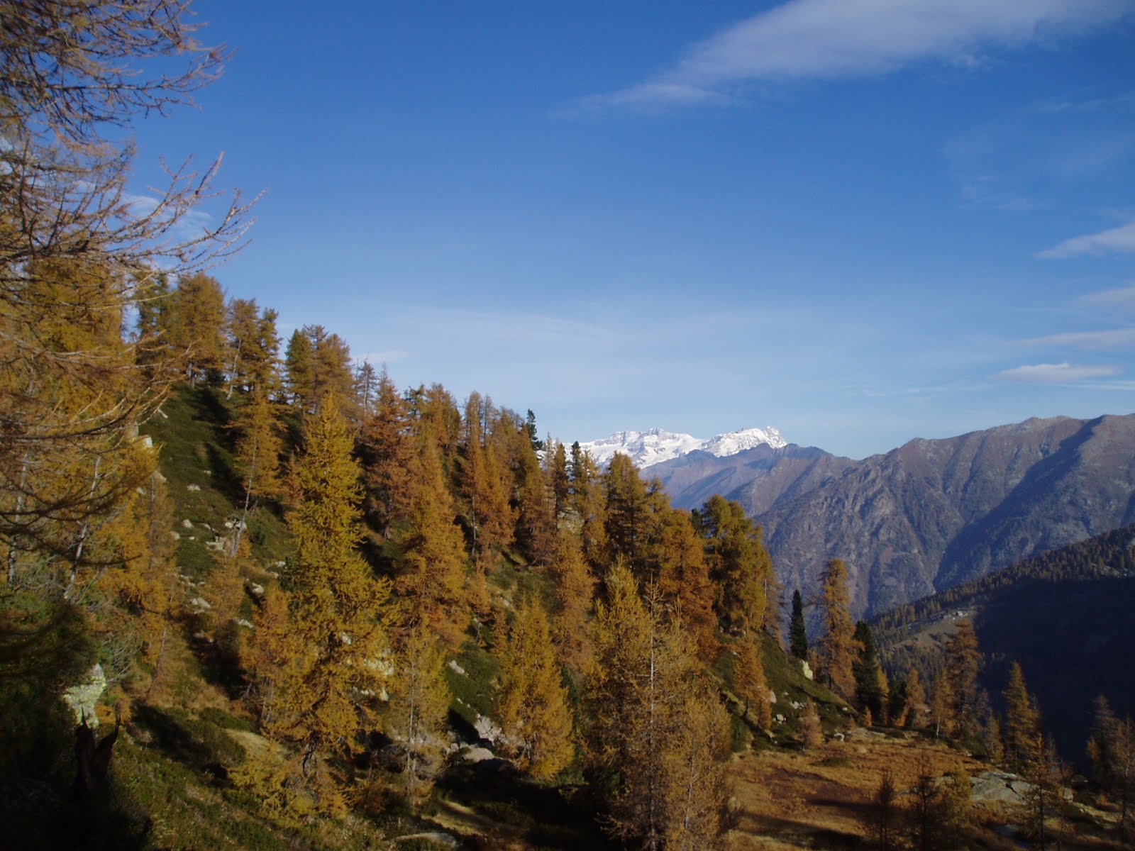 andarpermonti Escursionismo in Valle del Lys