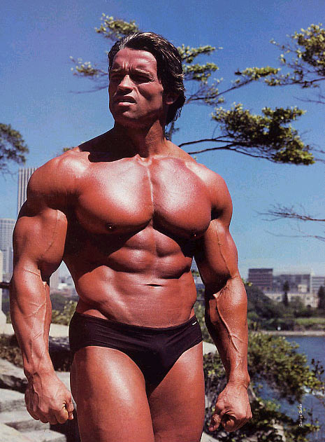 Arnold Schwarzenegger Bodybuilding Photos. Arnold Schwarzenegger