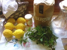 How to Make Lemon Cordial