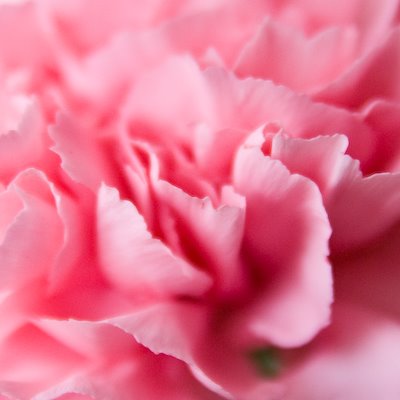 [Blog-0191.jpg]