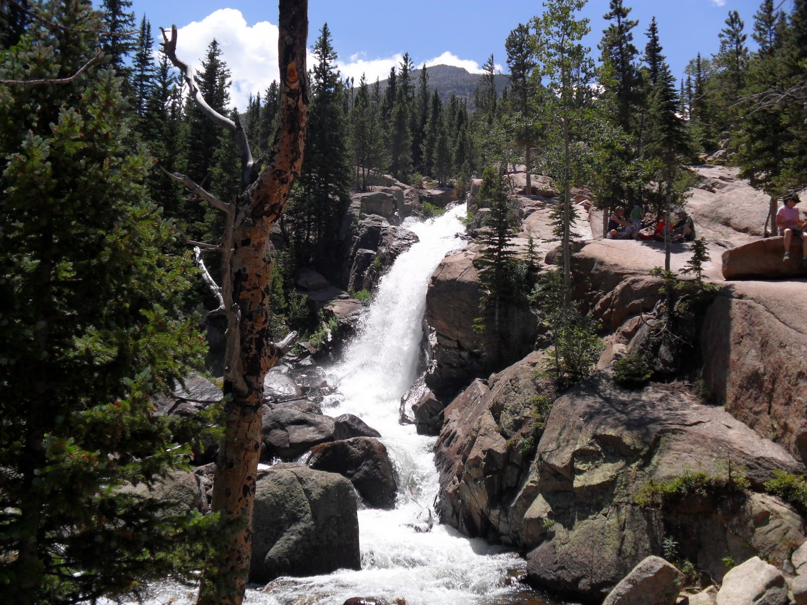 Alberta Falls Colorado