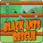 Black Ants Rescue Games