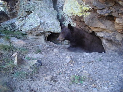 Black Bear Cave