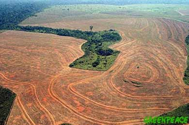 Amazonas en peligro Amazonas en peligro