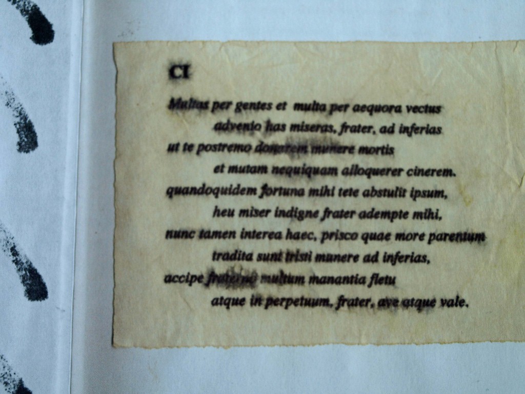 Catullus 101