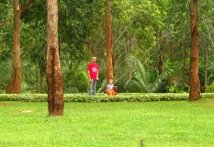 Fietsen in het park