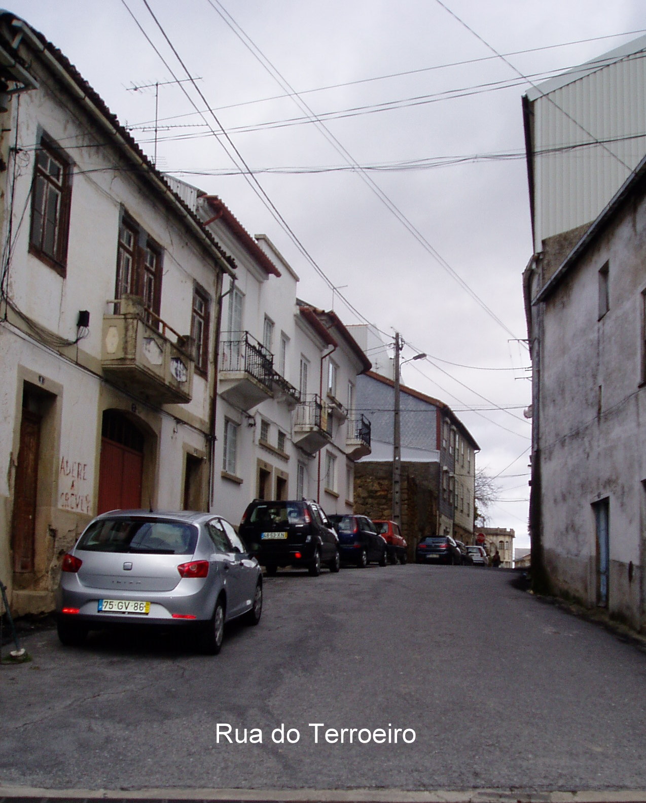 [P1210008.JPG]