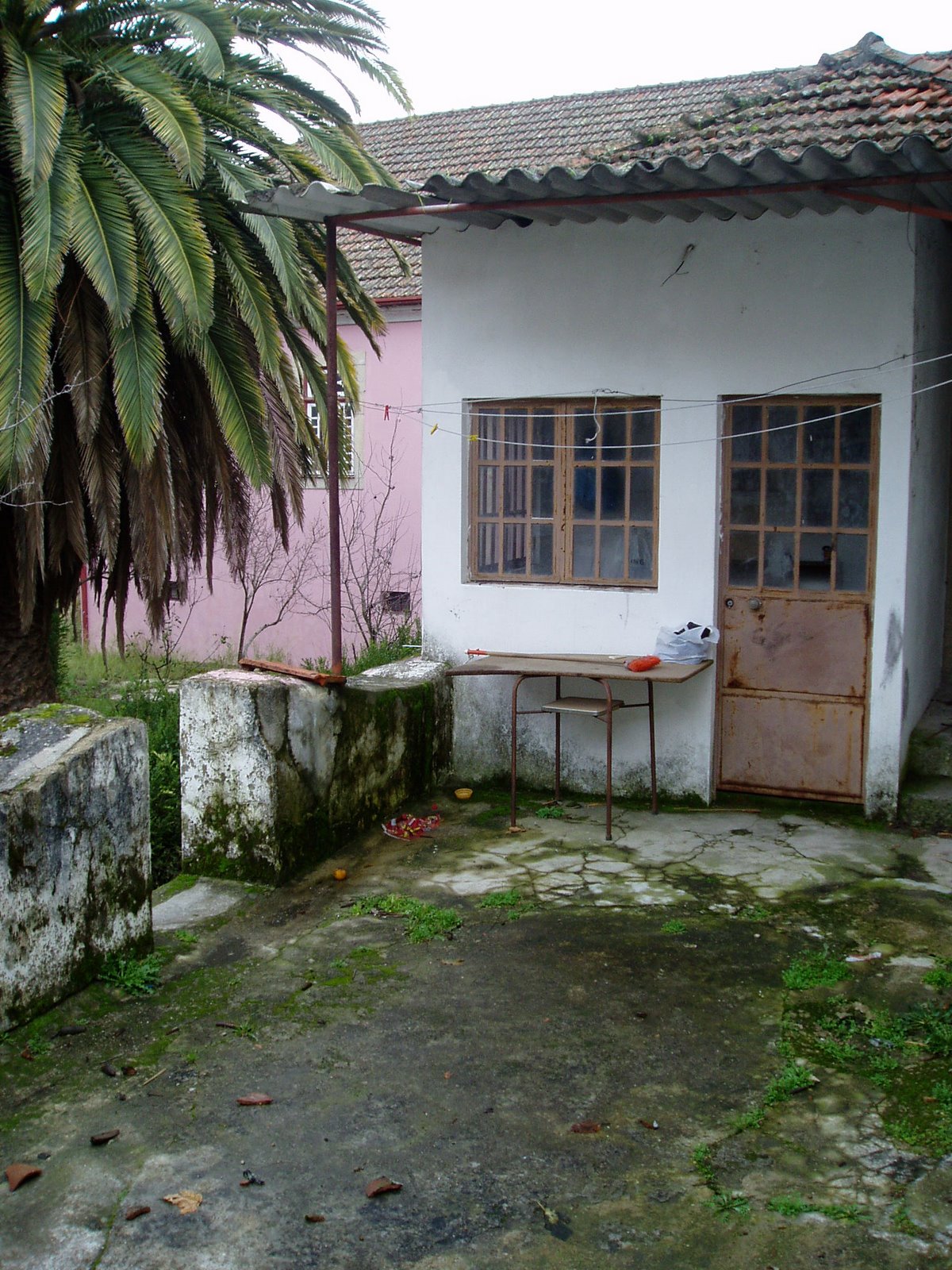 [P1270044.JPG]