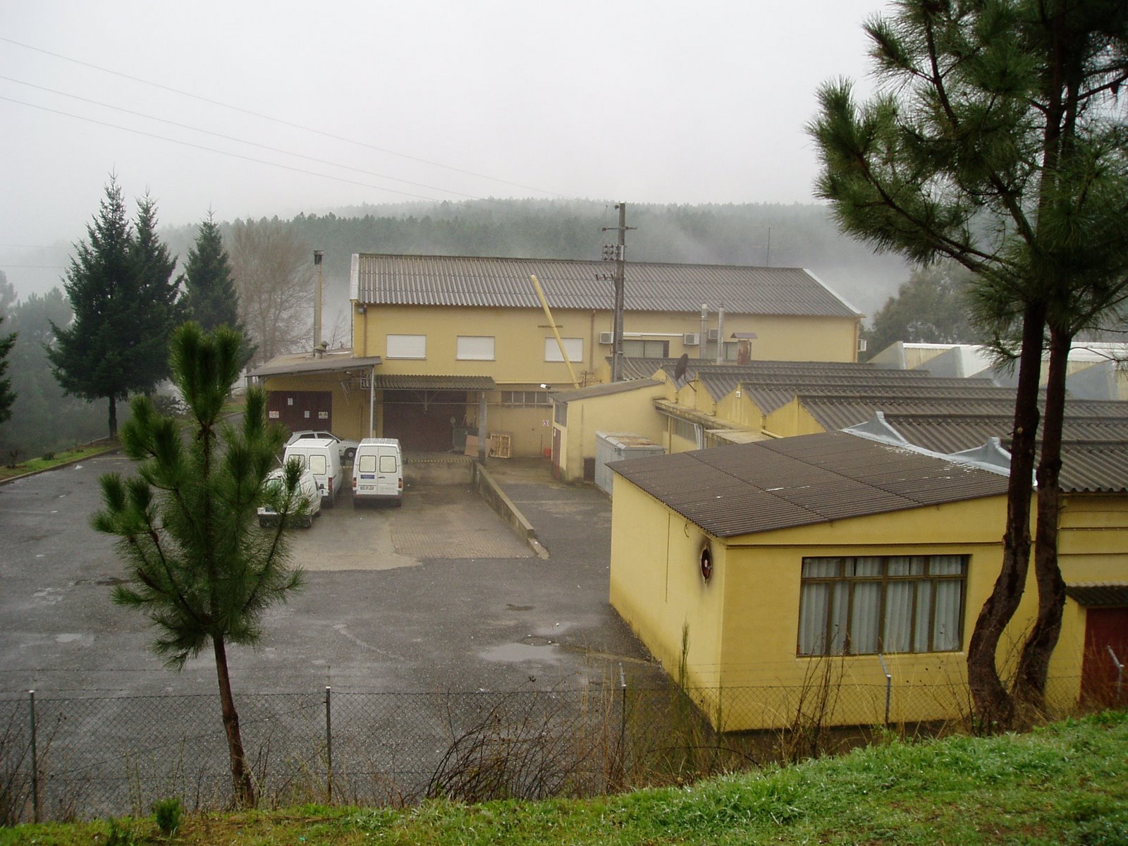 [P1180033.JPG]