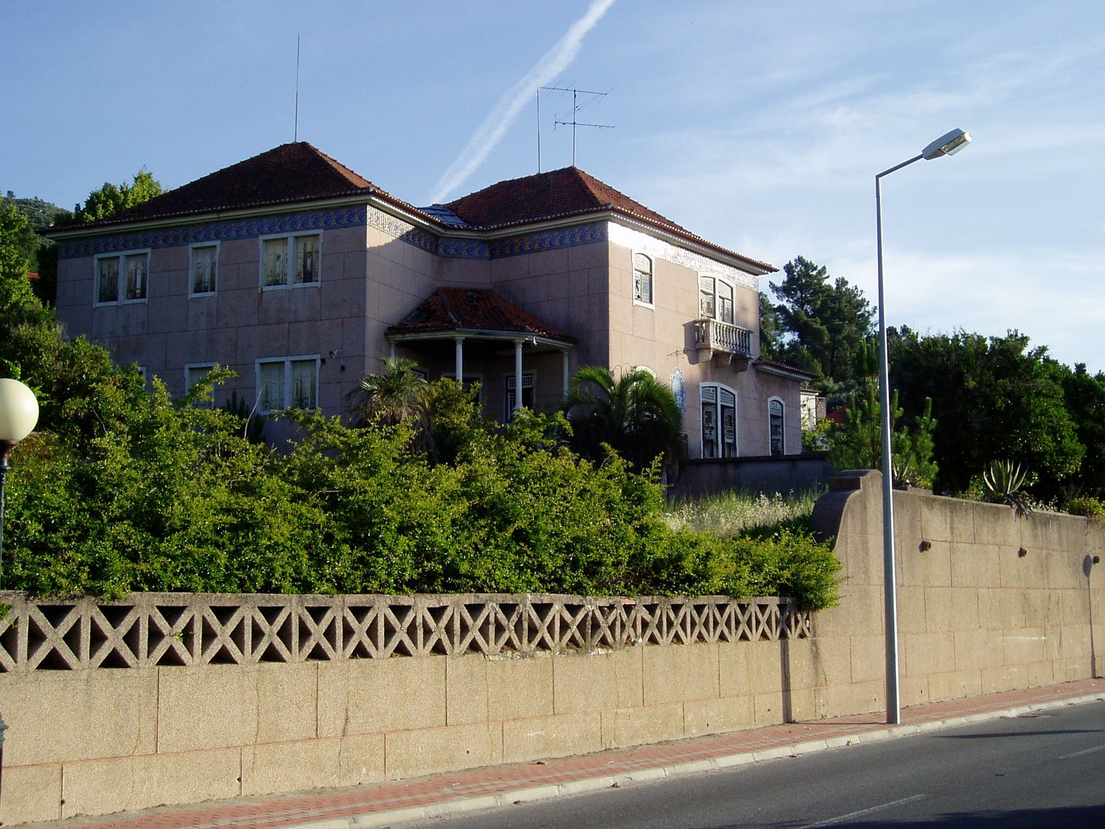 [P1010009-1.JPG]