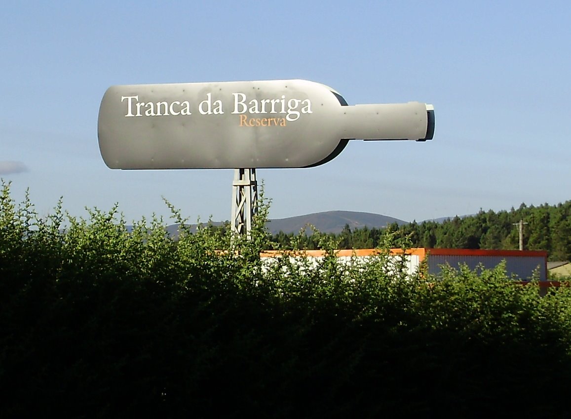 [P7170001.JPG]