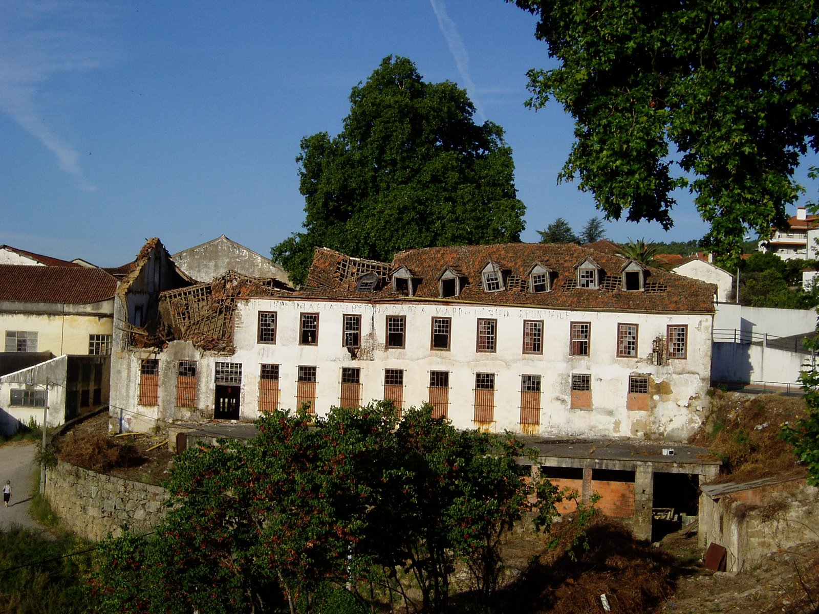 [P1010003-5.JPG]