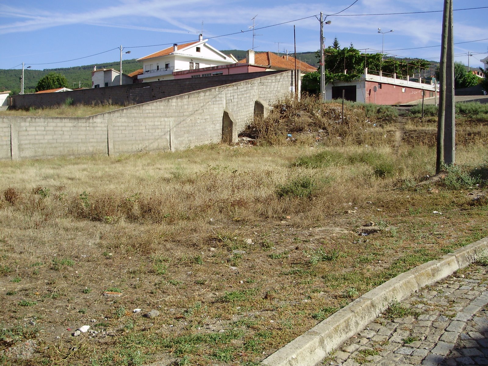 [P8030003.JPG]