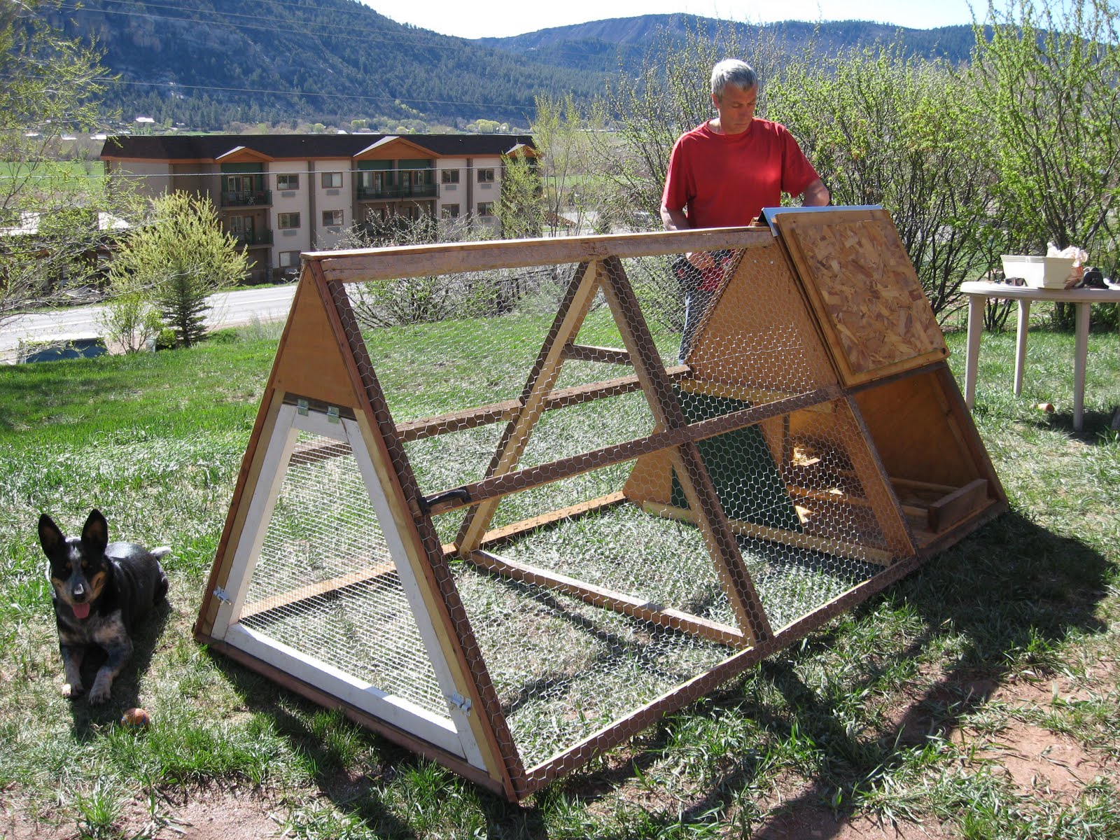 4 a Green World in Durango CO Chicken Tractor for Sale, Only 300!
