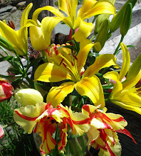 Bouquet of the week May 18